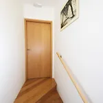 בית הארחה Hortenzia House דוברובניק